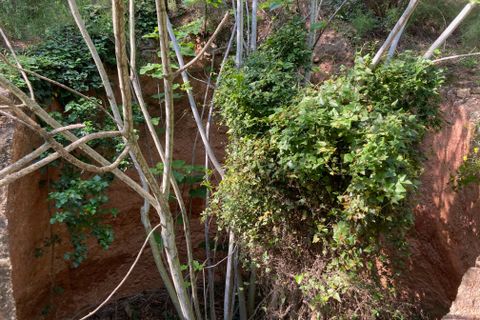 Landejendom i El Perello, Tarragona, El Perello - € 36.000 | Ref: Finca Montanas - foto 36